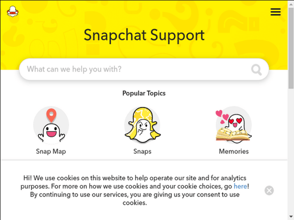 snapchat support ticket id