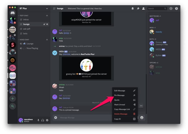 How to pin a message on Discord